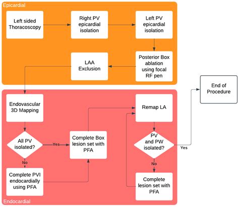 A Hybrid Minimally Invasive Atrial Fibrillation Ablation Procedure ...