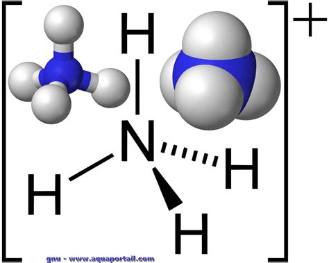 Ammonium : définition et explications