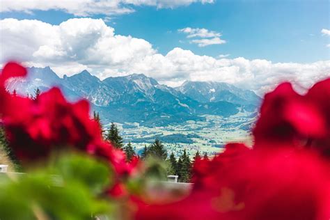 ALM:KULTUR in Saalfelden Leogang | Saalfelden Leogang