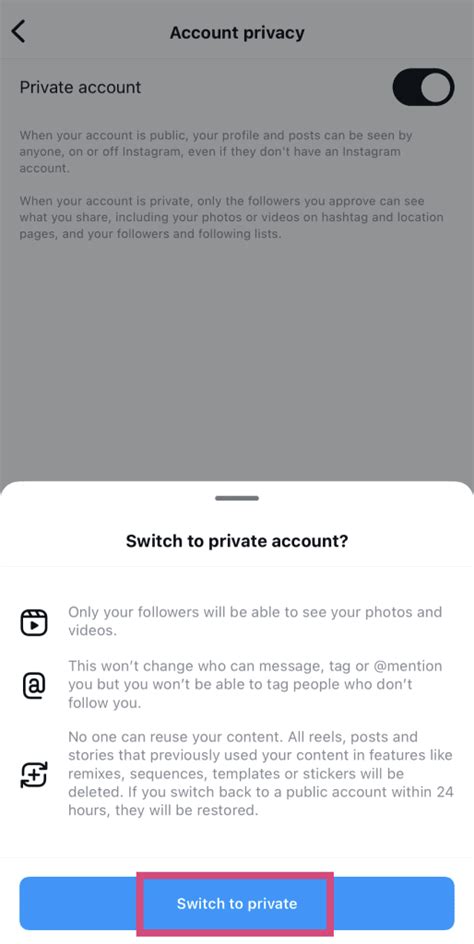 Private IG Viewer 的图像结果