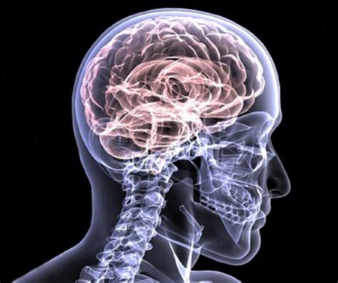 Image result for Muscle Memory Examples