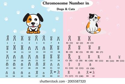 Image result for Research Code Sheet Example