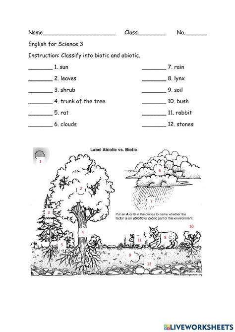 Image result for Biotic Sampling Methods Worksheet