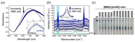 Design and Simple Assembly of Gold Nanostar Bioconjugates for Surface ...