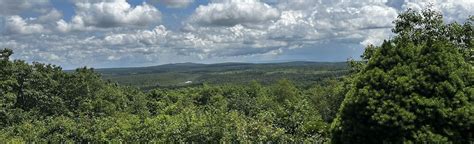 Image result for Loop Pimple