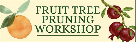 Fruit tree pruning workshop (Stone fruit), 647 S King Rd, San Jose, 28 ...