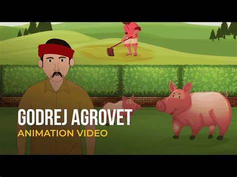 How to Create an Effective Explainer Video for Your Business