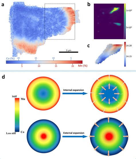 Image result for Concentration Gradient in Cathode