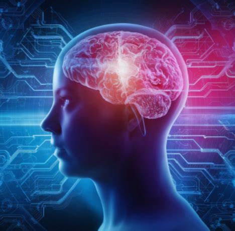 Als Expensive Brain Computer Interface 的图像结果