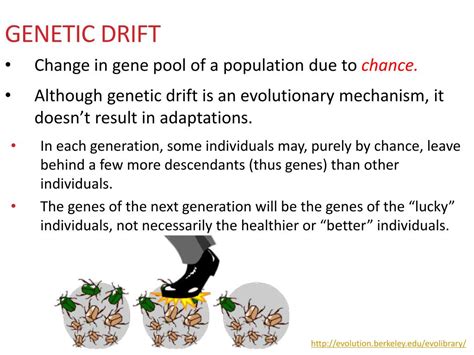 Biological Evolution 的图像结果