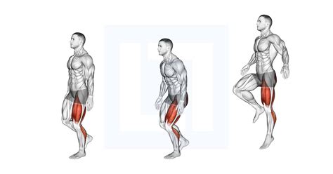 Image result for Hopping Ladder