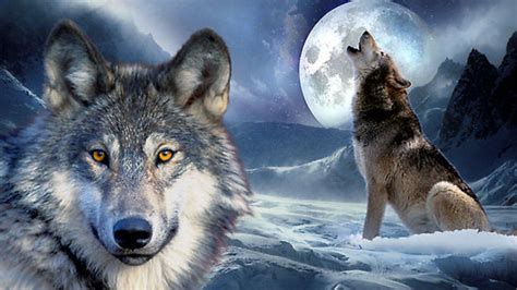 Image result for Coolest Wolves Howling