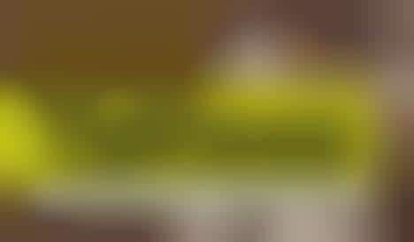 Evolutionary Tattoo Infographics : tattoo infographic