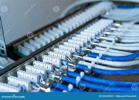 Network Cable Setup 的图像结果