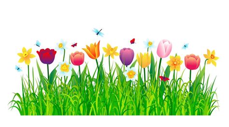 Image result for Formulation Development Visual