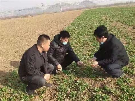 邯郸通用污水处理有限责任公司_中华人民共和国生态环境部