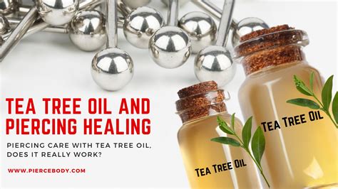 Piercing Care with Tea Tree Oil, Does it Really Work? - Piercing Jewelry Manufacturer offers ...