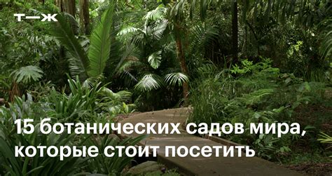 Лучшие ботанические сады мира: 15 мест, которые стоит посетить