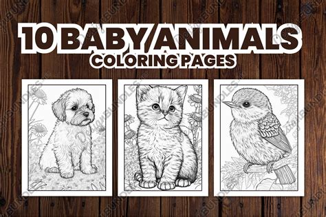 Baby Animal Coloring Pages To Print