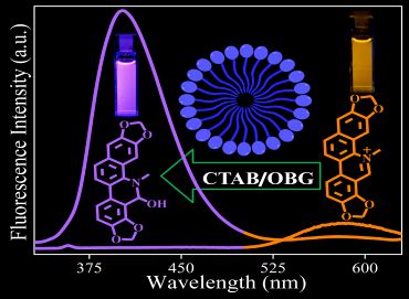 Home [sites.iiserpune.ac.in]