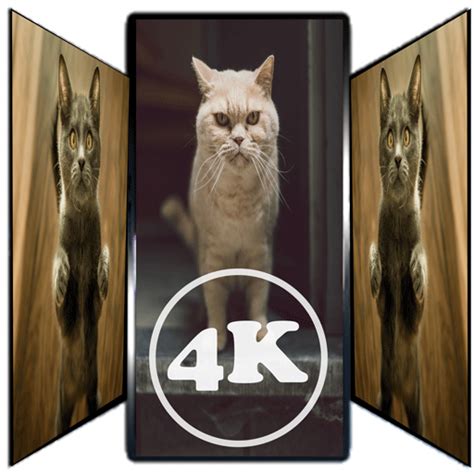 Cute Wallpaper 4K - App on Amazon Appstore