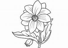 immagini di fiori da colorare e stare dibujos para colorear y pintar gratis immagini di fiori da colorare e stare dibujos para colorear y pintar gratis