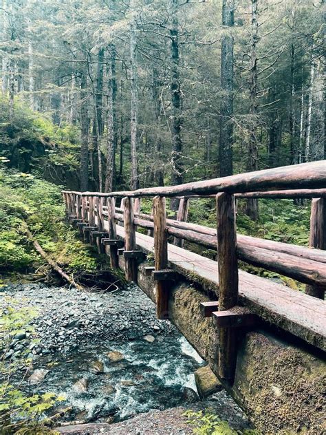 Image result for Homemade Log Bridge