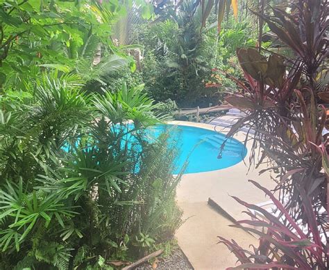 LAS PALOMAS VILLAS (Cocles) - Villa Reviews, Photos, Rate Comparison ...