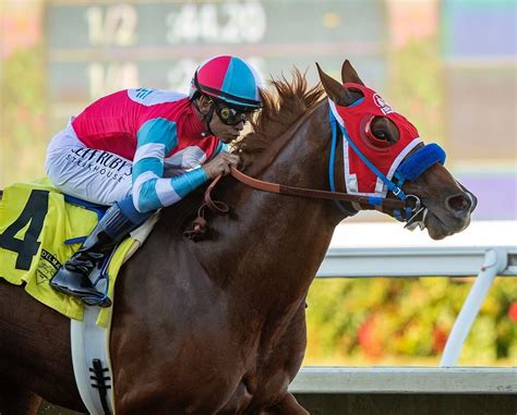 The Jockey Club Releases ID My Thoroughbred App - BloodHorse