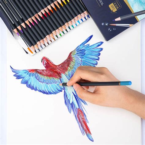 Deli Arte Nuevo Watercolor Pencils - SCOOBOO - Deli