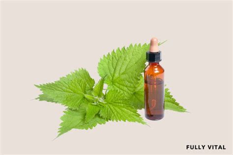 Making Nettle Extract 的图像结果