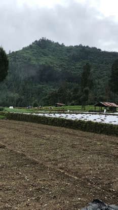 Cheap Places to Visit Near Chandigarh in August 2025