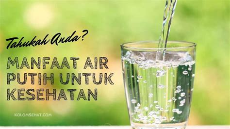 manfaat air putih untuk janin
