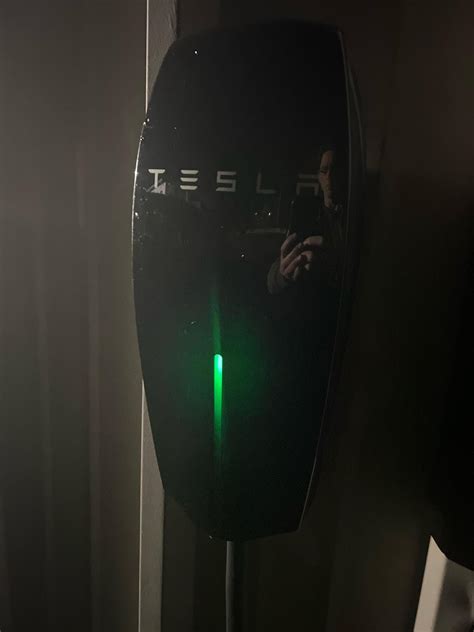 Natural Pet Outlet | Bridgeport, CT | EV Station