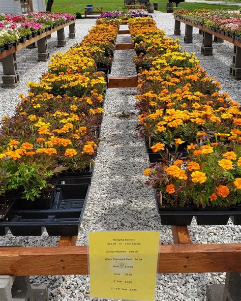 Evans Family Ranch | Pastured Grass-Fed Beef | Locally Grown Seasonal ...