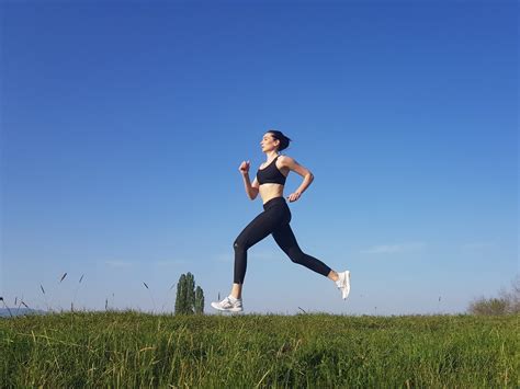 Types of Runs 的图像结果