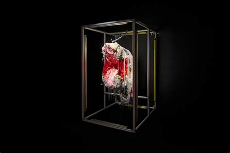 PALE IN COMPARISON — KINGCOBRA