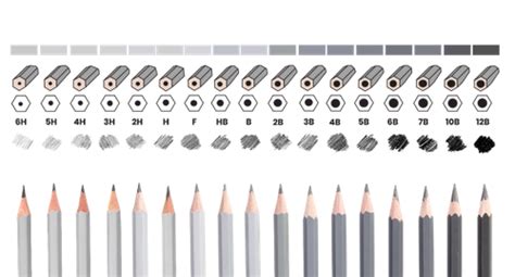 Image result for Inshot App Tutorial