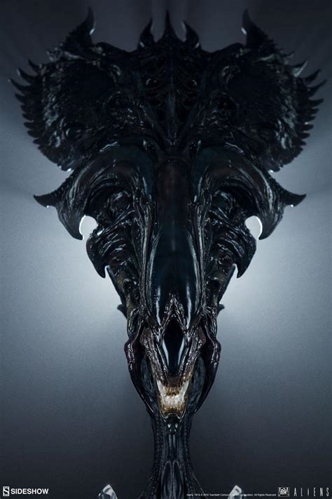 Alien Queen Sideshow 的图像结果