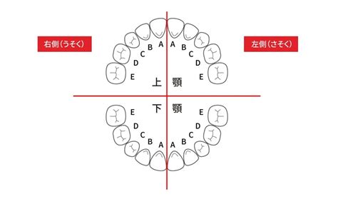 Image result for Row Count in SQL