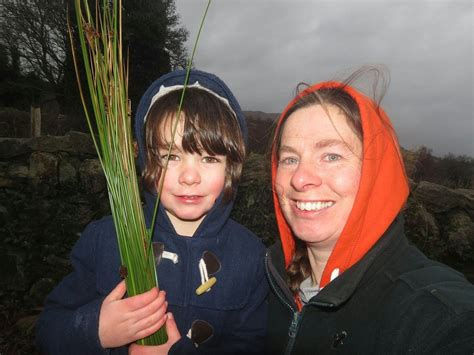 Native flowers, butterflies and bees, a mini bio blitz for the whole ...