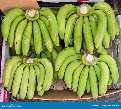 Raw Gros Michel Banana in Paper Box for Sale in Thailand Market Stock ...
