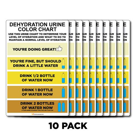 Hydration Urine Chart Spanish Language Urinary System | Sports