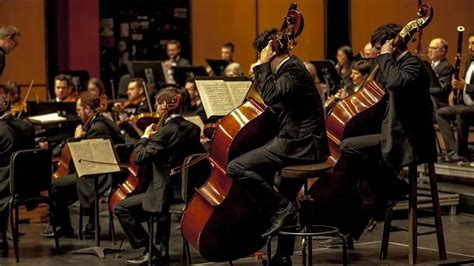 Image result for Modern Orchestra Instruments