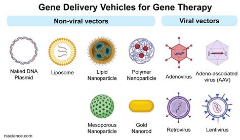 Gene Therapy 的图像结果