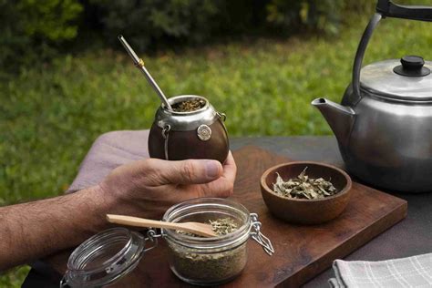 26 Facts About Yerba Mate - Facts.net
