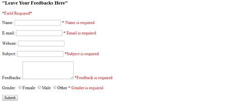 PHP Form Validation Example 的图像结果