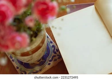 Inside of Notebook 的图像结果