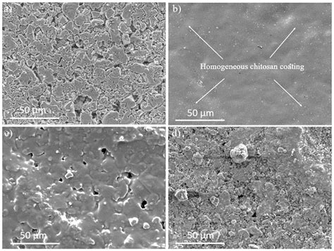 pH-Triggered Controlled Release of Chlorhexidine Using Chitosan-Coated ...