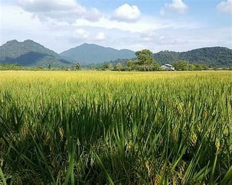 THE BEST Places to Visit in Posorja (2025) - Must-See Attractions